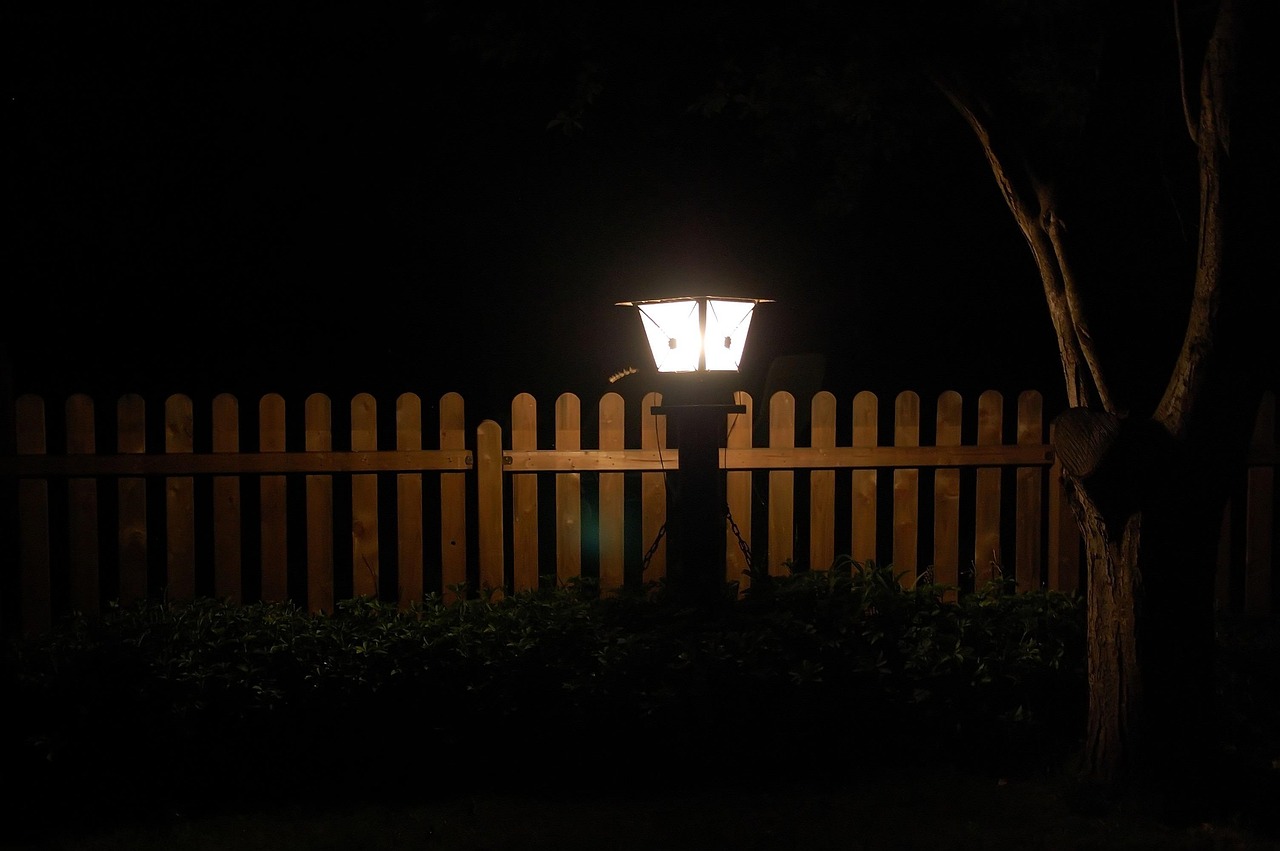 Nachtelijke tuin vol schaduw en lichtcontrasten. Nachtelijke tuin vol schaduw en lichtcontrasten.