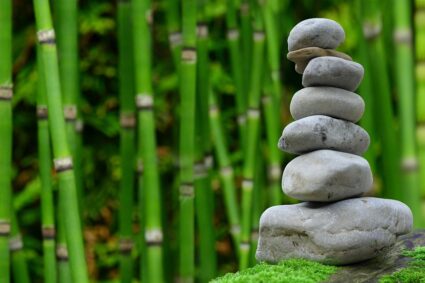 De perfecte minimalistische zen tuin creëren: stap-voor-stap gids