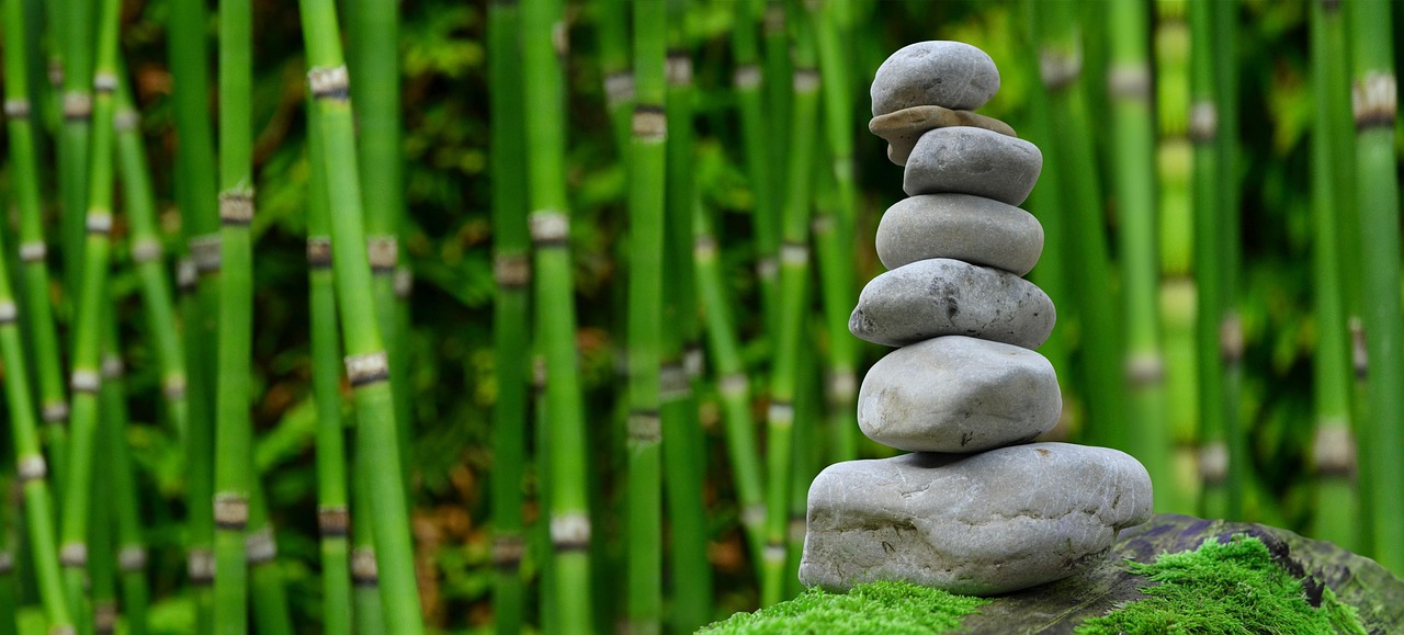Groene bamboe en stromende waterpartij in zen-tuin.