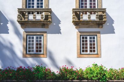 Kies de juiste planten voor je balkon in de zomerhitte