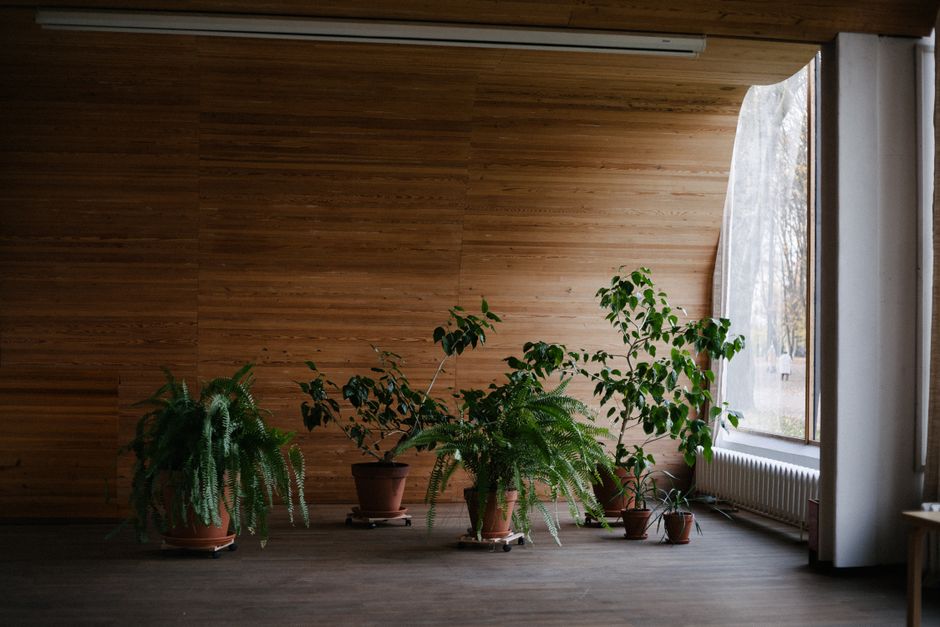 Moderne woonkamer met veel groene planten. Moderne woonkamer met veel groene planten.
