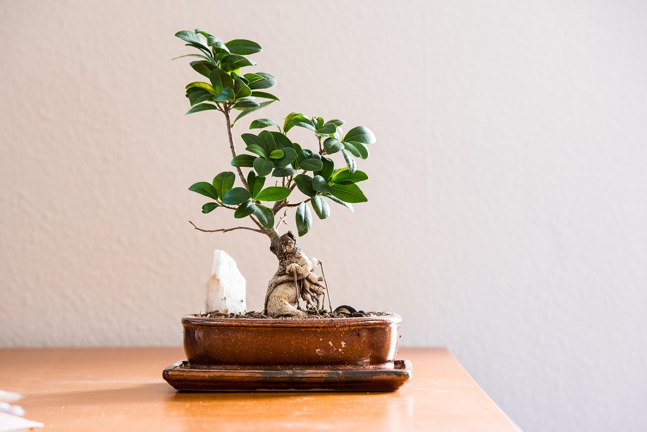 Gedroogde lavendel op een houten tafelblad. Gedroogde lavendel op een houten tafelblad.